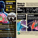 How to know if you have Coronavirus - Coronavirus Symptoms