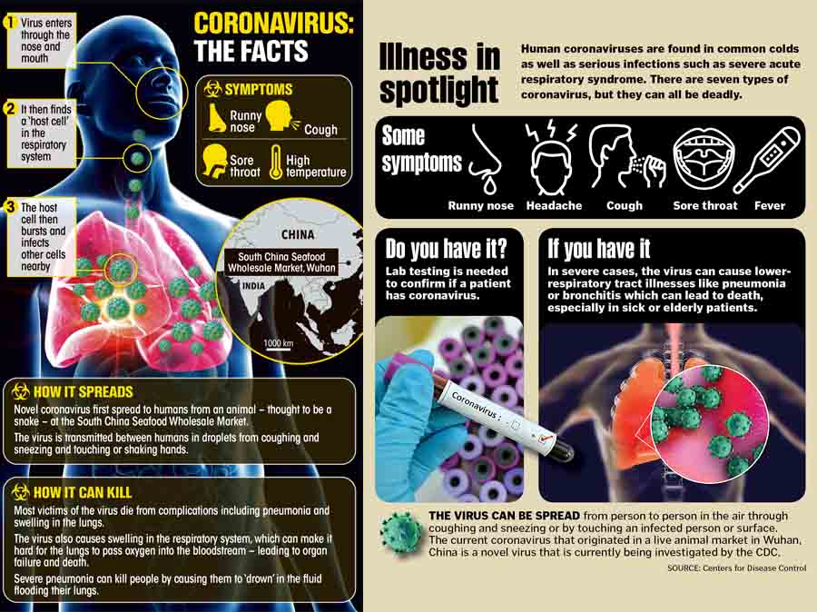 How to know if you have Coronavirus - Coronavirus Symptoms