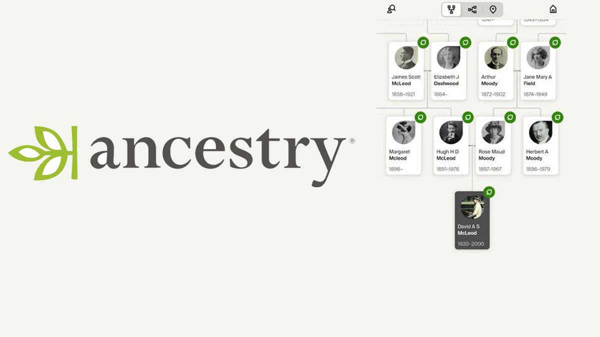 Ancestry How to Find your Ancestors for Free Mstwotoes