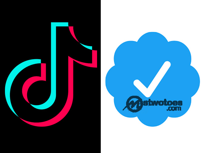 How to Get Verified on TikTok - Get Verified Badge on TikTok in 2020