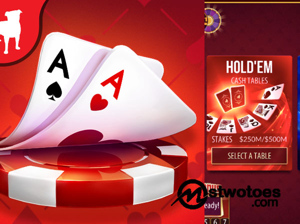 Zynga Poker - How to Play Poker Online at Zynga Poker