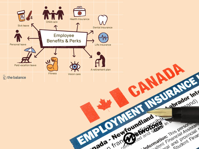 Small Business Employment Insurance - Special Employment Insurance Benefits | EI Benefits for Self-employed