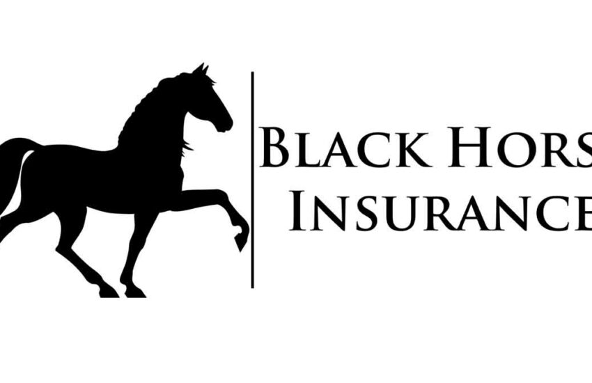 Black Horse - Car, Motorbike, and Caravan Finance Services on Blackhorse.co.uk