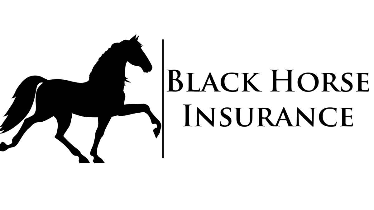 Black Horse - Car, Motorbike, and Caravan Finance Services on Blackhorse.co.uk