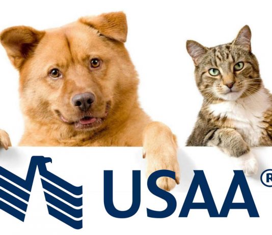 USAA Pet Insurance for Dogs and Cats Quote