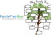 Family Tree Now - Trace your Family Tree for Free Online | FamilyTreeNow.com