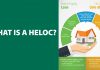 Home Equity Line of Credit - A Guide for Home Equity Loans and HELOCs