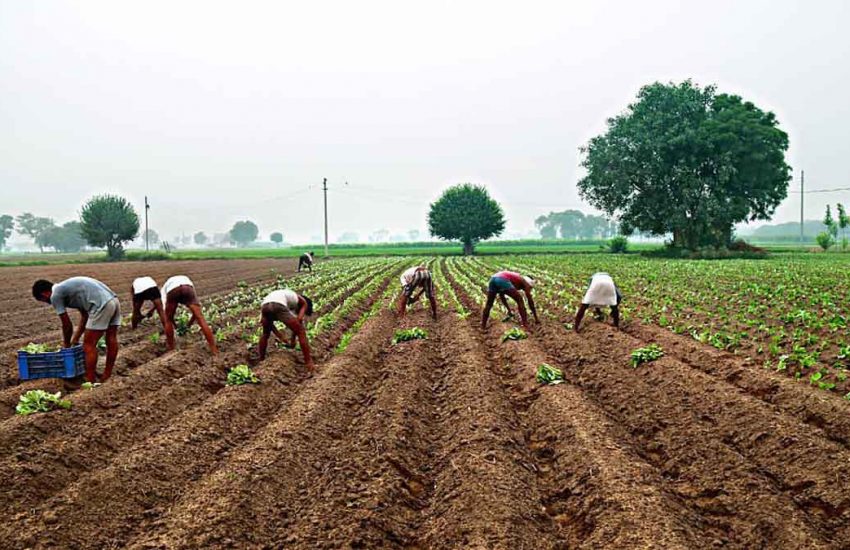Farm Jobs in USA With Visa Sponsorship