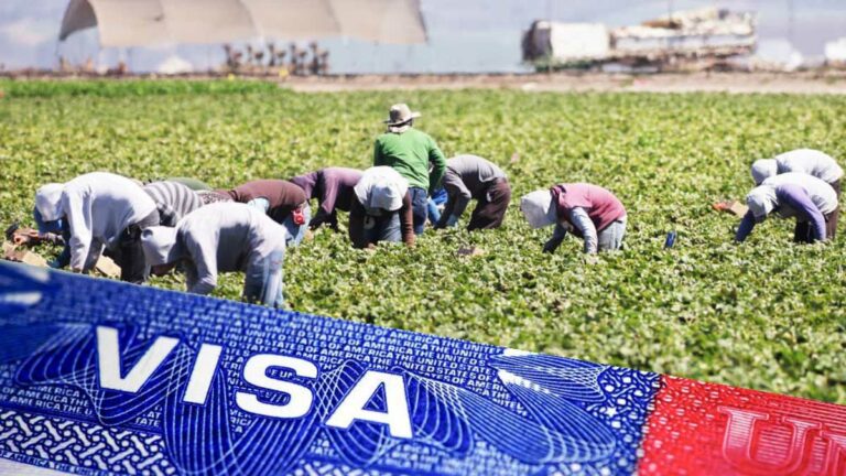 Farm worker Jobs in the USA with Visa Sponsorship