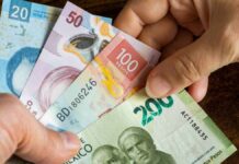 No Credit Check Loans
