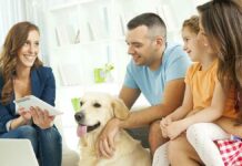 How to Become a Pet Insurance Adjuster