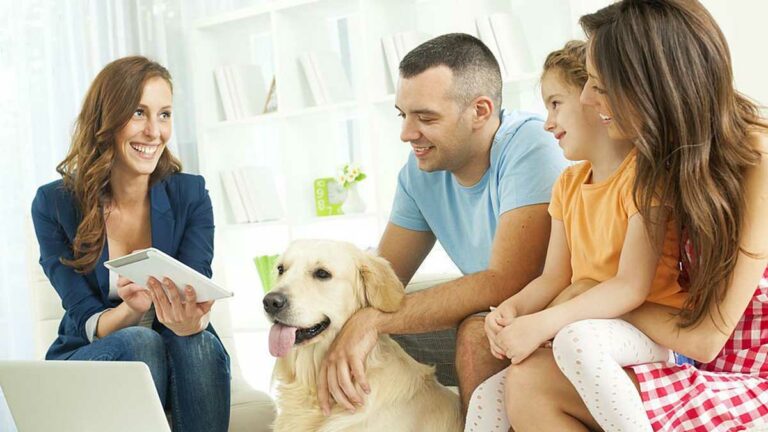 How to Become a Pet Insurance Adjuster