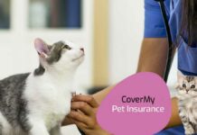 Top 10 Cat Insurance in USA