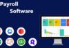 Payroll Software for Accountants