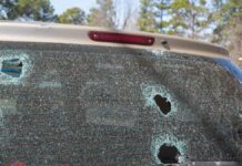 Insurance Claim for Hail Damage