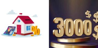 Loan 3000