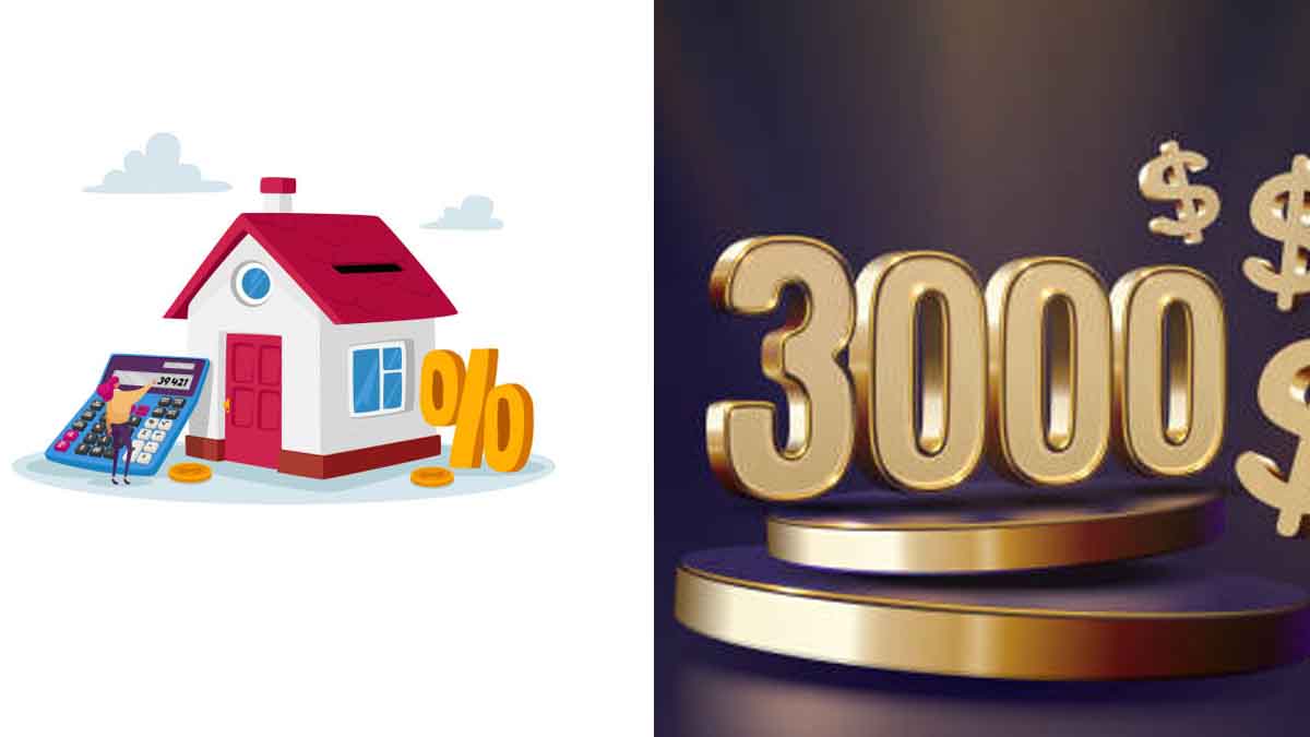 Loan $3000