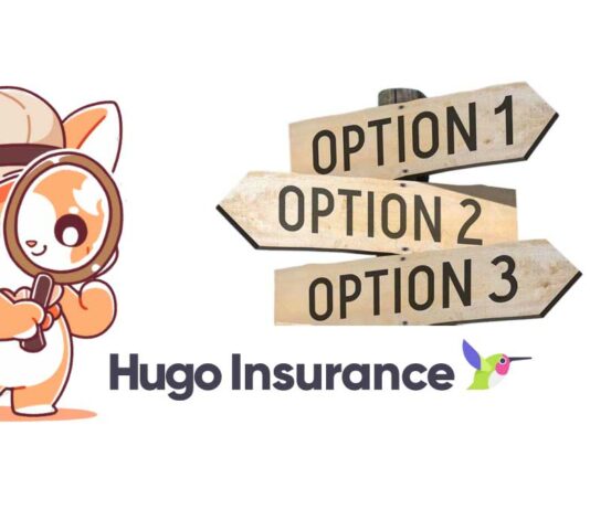 Insurance Like Hugo
